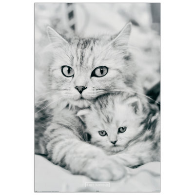 Kimberlin - Single Picture Frame Print