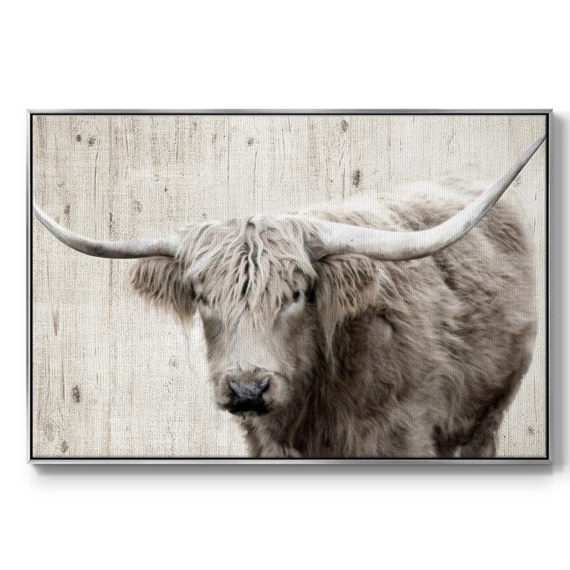 Toile tendue encadrée Longhorn, H 27 po x l 41 po x P 2 po, Argent