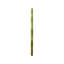 Miroir rond Pine Ripples-572640423