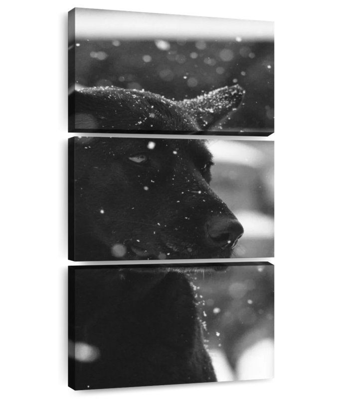 Black Dog Portrait, 27" H x 12" W