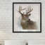 « rainsoft cerf », impression encadrée-1667625313