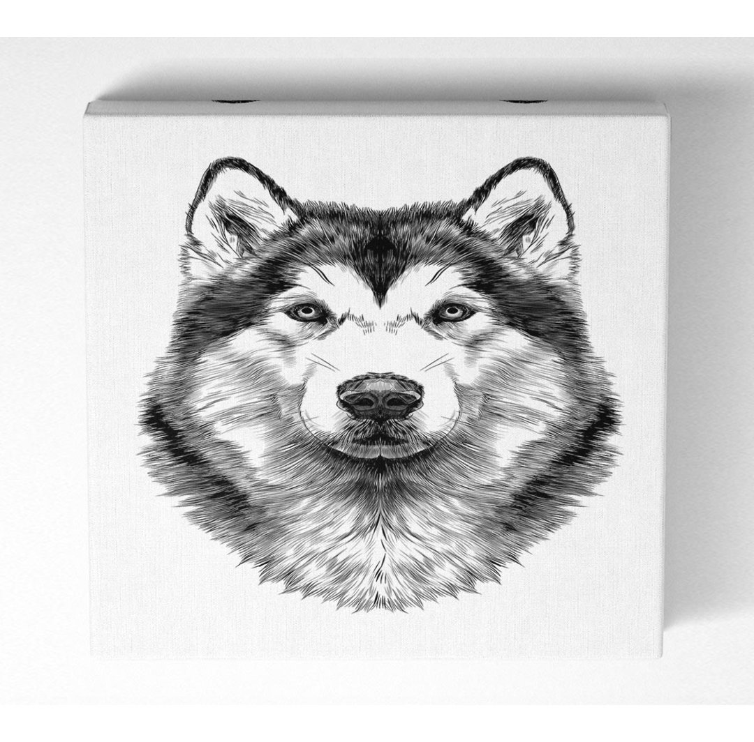 Husky Wolf - Druck