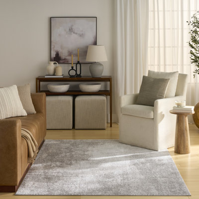 Tapis d'intérieur gris 5 pi 3 po x 7 pi Lafever