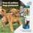 PetSafe® In-Ground Pet Fence