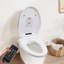 Elongated Toilet Seat and Lid