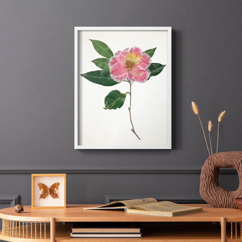 «Pressed Camellia I», reproduction encadrée - bois massif, Blanc, H 10 po x l 8 po