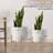Katelynd Handmade Metal Pot Planter