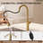 Pull Down Single Handle Kitchen Faucet with Dual Function-127657791