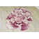 Vestavia Floral Indoor Rug