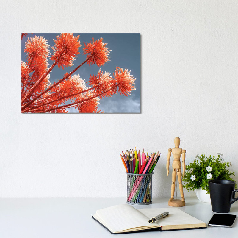 Red Trees by Glauco Meneghelli - Wrapped Canvas Print, 20.32 cm H x 30.48 cm W