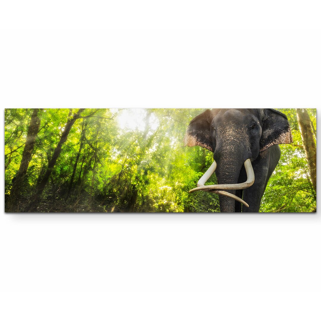 Leinwandbild Elefant an den Erawan Wasserfällen in Thailand