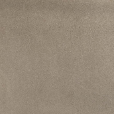 Suede | Arena Fabric