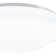 1-Light Flush Mount
