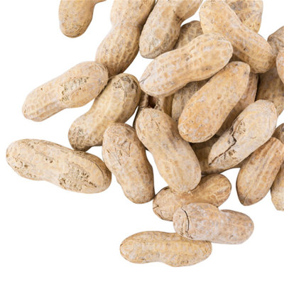 Hampton Farms Roasted Salted In-Shell Peanuts 25 Lb. WS-113PNUT20130