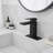 Single-handle Bathroom Faucet with Drain Assembly