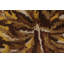 Vintage One-of-a-Kind 3'9" X 5'8" Hand Knotted Area Rug