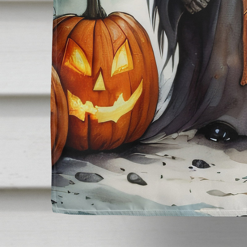 Double Sided 40'' H x 28'' W Polyester Halloween House Flag