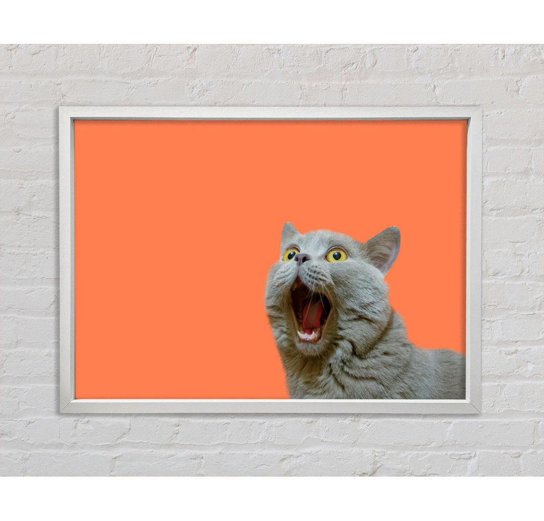 Cat On The Orange - Druck