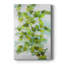 Lierre - galerie Cavas sur mesure-672359829