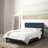 Achilles Upholstered Platform Bed-316733901-316733902
