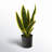 22" H Faux Snake Plant in Pot-819046652-819046653