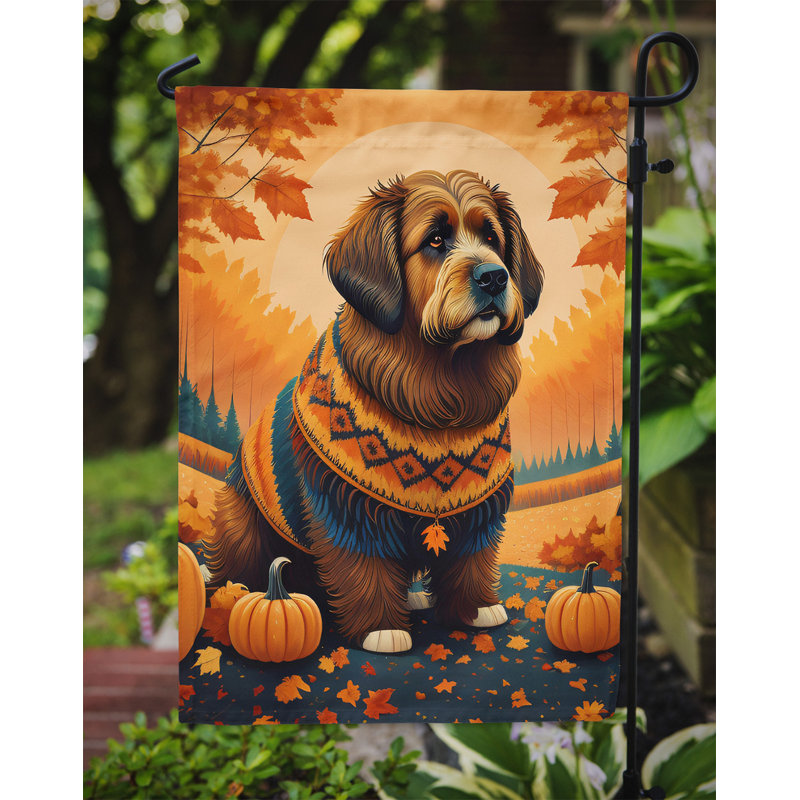 Drapeau de jardin Briard Fall