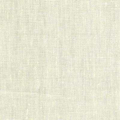 Dollar de sable du désert