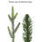 Hachmin 10' Lighted Christmas Tree
