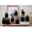 9 Live Cactus Plant in Pot Set