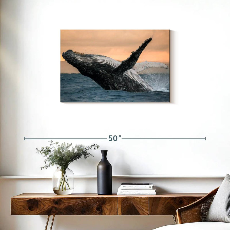 Brampt Humpback Whale Toss, 20" H x 30" W