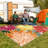 ZonLi Tropical Floral Indoor/Outdoor Rug, 8' x 10', Colorful, Waterproof, Washable, Non-Slip-129467907-129467909