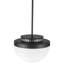 Luminaire suspendu 1 lumière l 12 po Lucai-560855858