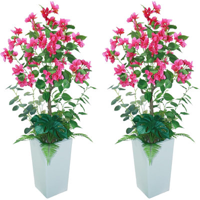 120cm Plant
