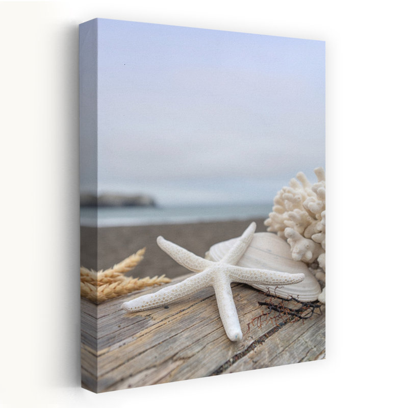 Croissant plage coquillages 14 - paysages côtiers, photographie de plages, art, H 24 po x l 16 po
