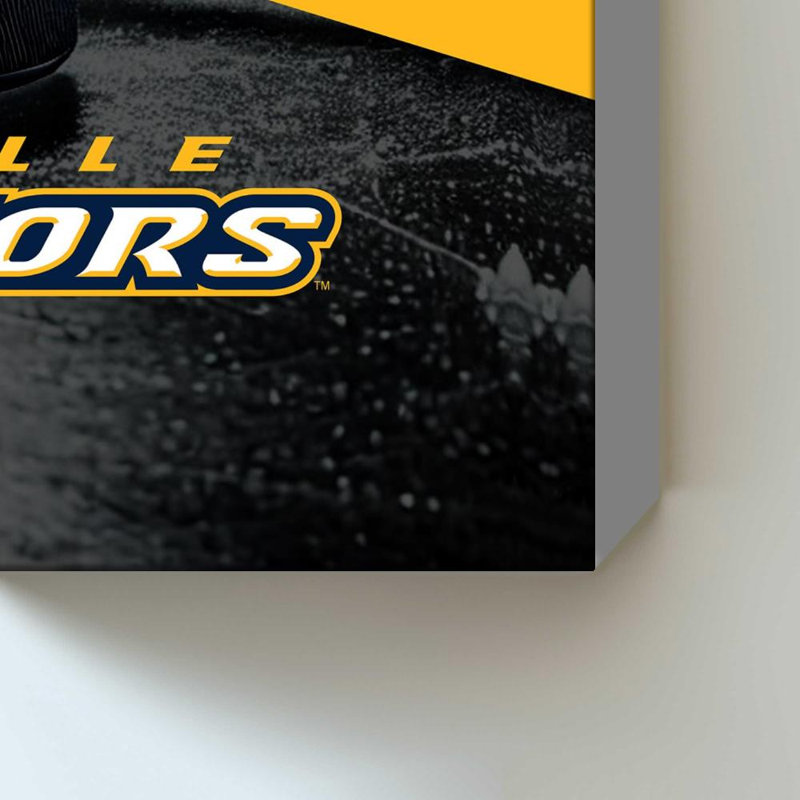 Décoration murale des Predators de Nashville NHL, H 60 po x l 40 po, Toile tendue, Ne s’applique pas