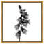 Ossified Petals II Print by Oliver Gal-2034241551-2034241584