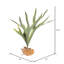 Artificial Staghorn Fern-20583953