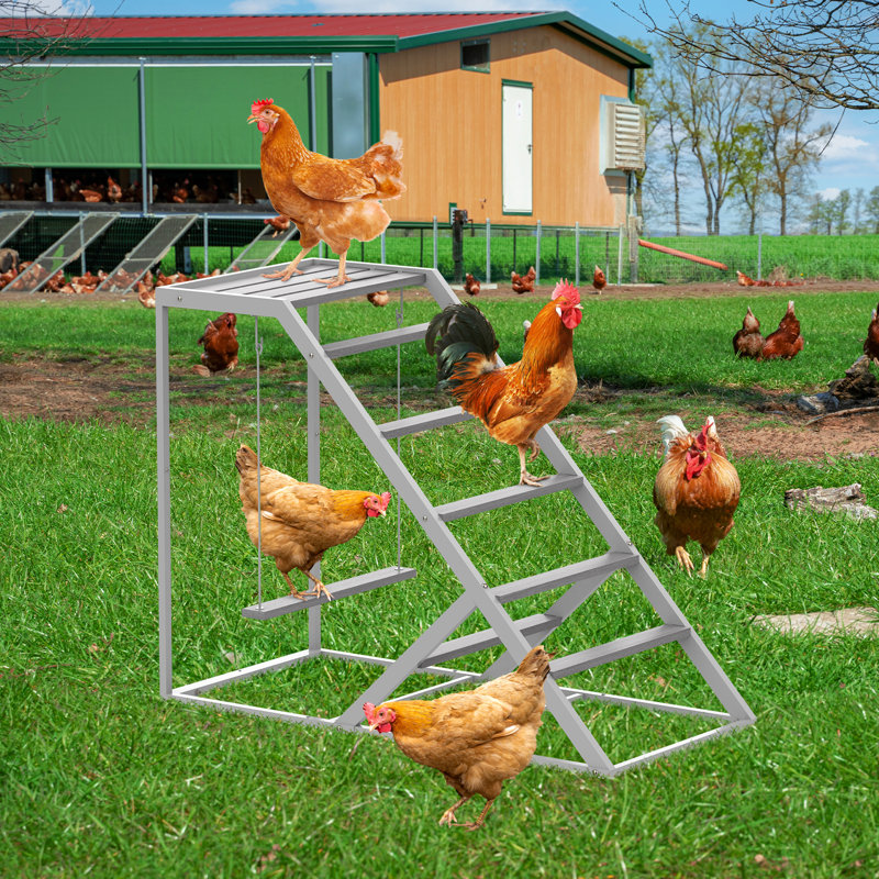 Échelle à poules pour poulailler, rampe à une face avec 2 perchoirs suspendus, structure d'escalade en métal facile d'accès pour poules, accessoires de volaille durables, gris