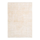 Rugs.com Jasmina Boutique Rug