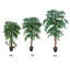 Premium Artificial Ficus Weeping Fig Tree Potted Plant-147687381