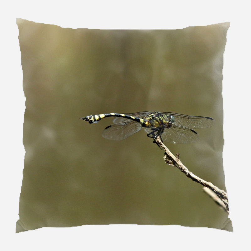 Meleri Outdoor Reversible Throw Pillow, Microsuede, Indoor