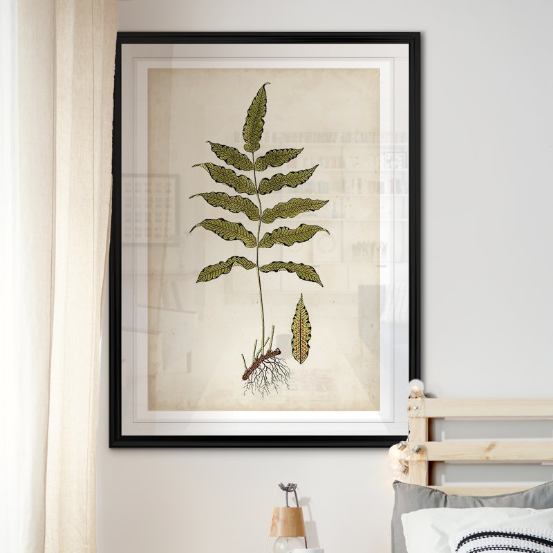 « palm botanique iii »-impression sur toile, H 22,5 po x l 30,5 po x P 1,5 po, Cadre noir