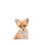 Baby Fox - Wrapped Canvas Print-2049925401