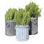 Ensemble de pots à fleurs 3 pièces, 14,25 po