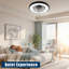 Acrylic Ring Fan Light - Circular Fan Light, Acrylic Fan Light, Ring Fan Light-128959684