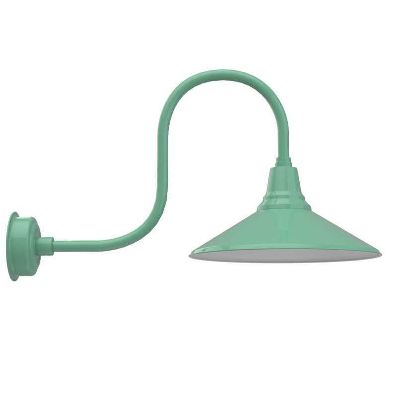 Luminaire de grange d’extérieur à del Albali, H 9 po x l 8 po x P 17 po, Jade