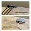 Rectangle l 62,99 po Masudur-1299006297-1299006298