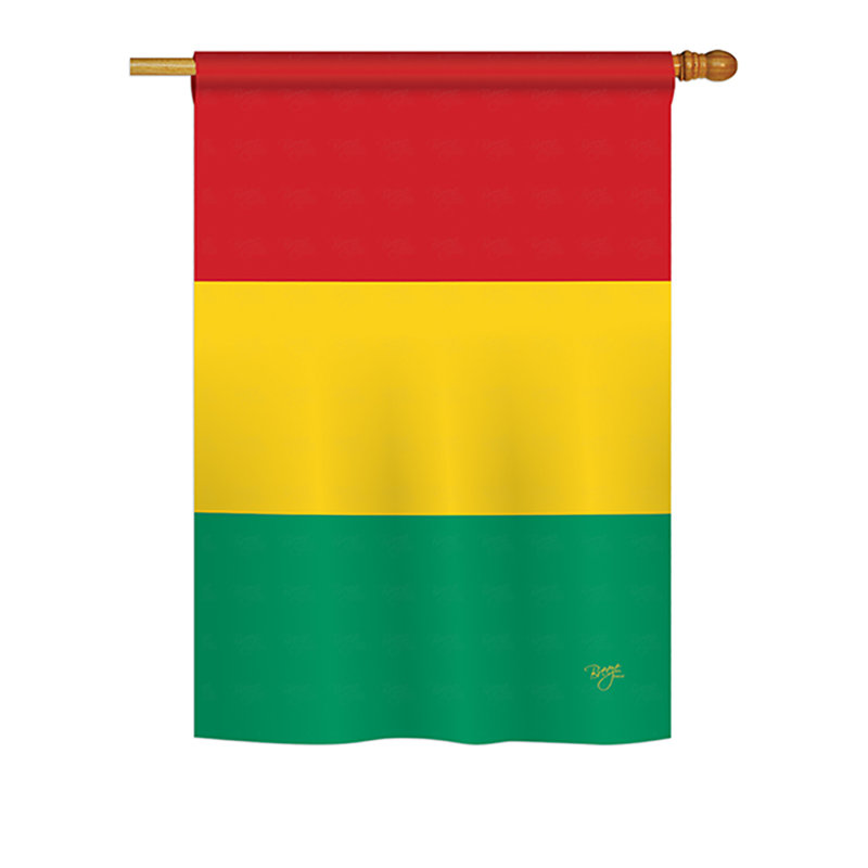 Drapeau de maison en polyester 2 côtés guinée, H 40 po x l 28 po