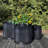 3 Piece Armano Belly Bucket Planters-337803887