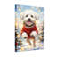 Animaux, chien de Noël en chandail rouge sautant-863064020